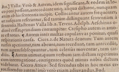 calepinusautem2.jpg