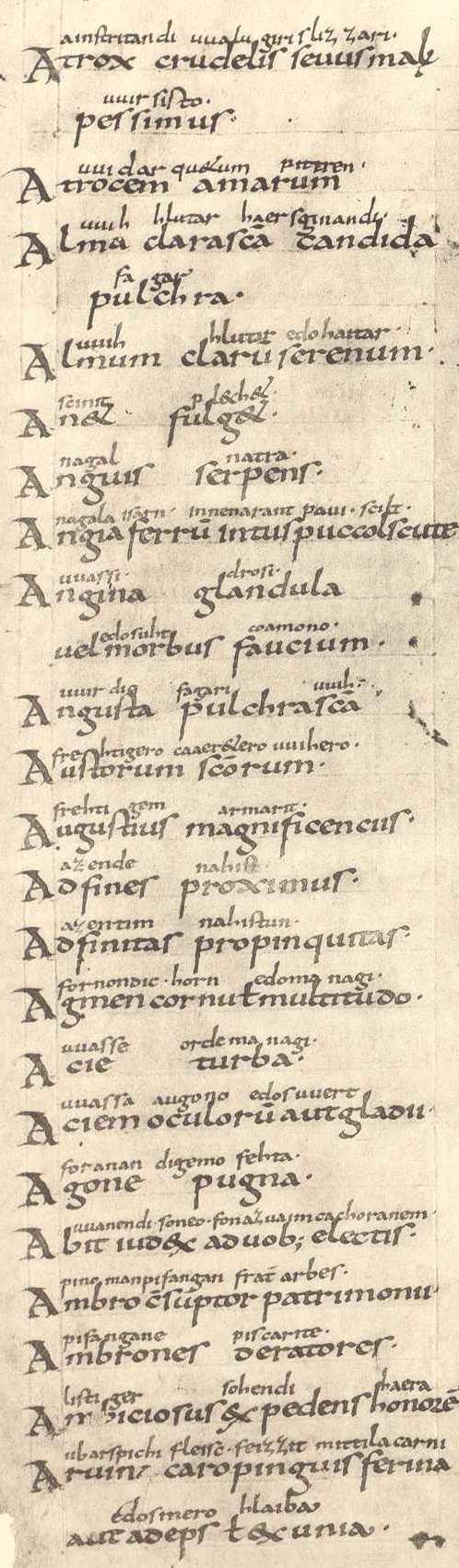 Abrogans-Handschrift Codex Parisinus 7640