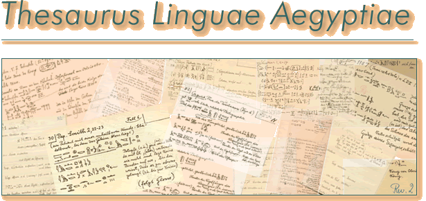 Thesaurus Linguae Aegyptiae - der alt&auml;yptische Wortschatz im Internet