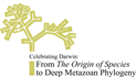 Deep_Metazoen_Logo