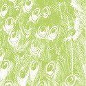Pfau_Hintergrund_klein