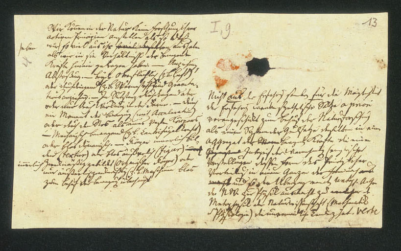 Convolut X, Seite 13